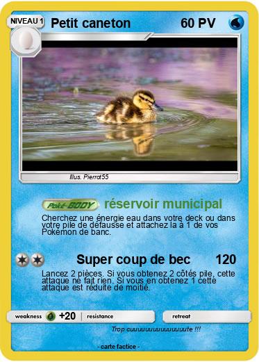 Pokemon Petit caneton