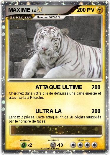 Pokemon MAXIME