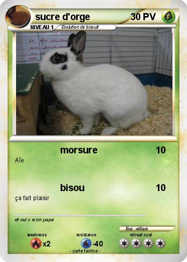 Pokemon sucre d'orge