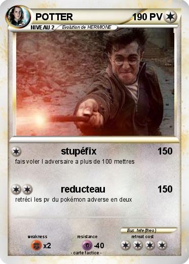 Pokemon POTTER