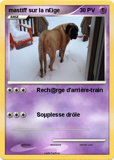 Pokemon mastiff sur la n£ige