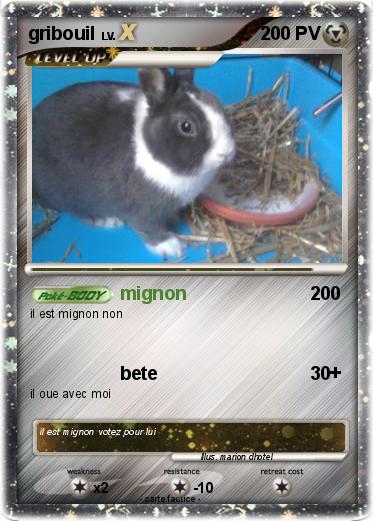 Pokemon gribouil