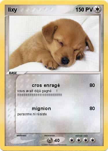 Pokemon lixy