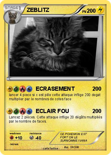Pokemon ZEBLITZ