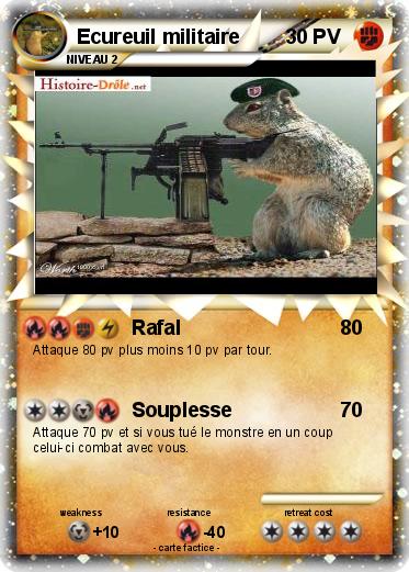 Pokemon Ecureuil militaire