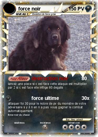 Pokemon force noir
