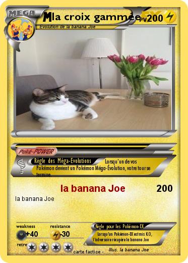 Pokemon la croix gammée