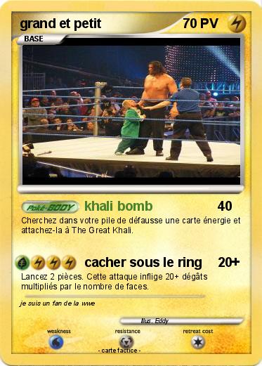 Pokemon grand et petit