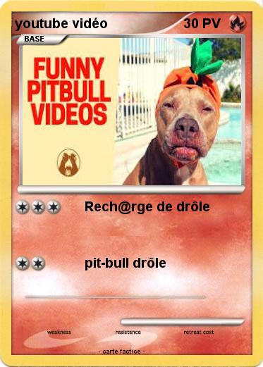 Pokemon youtube vidéo