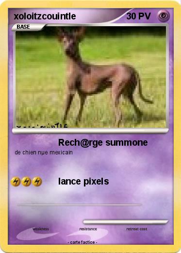 Pokemon xoloitzcouintle