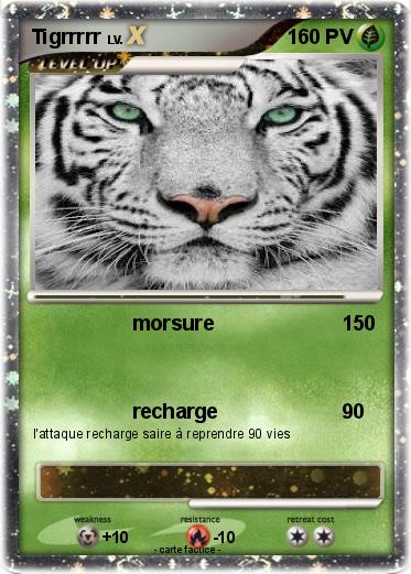 Pokemon Tigrrrrr