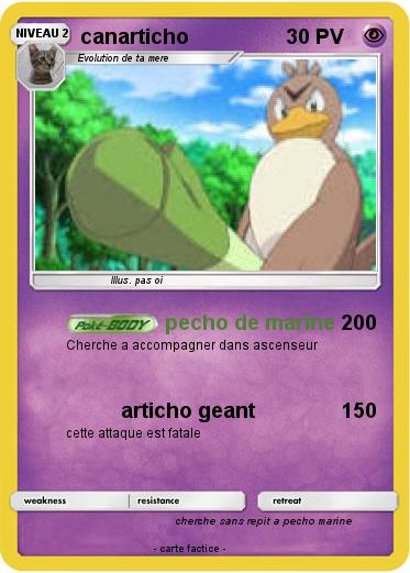Pokemon canarticho