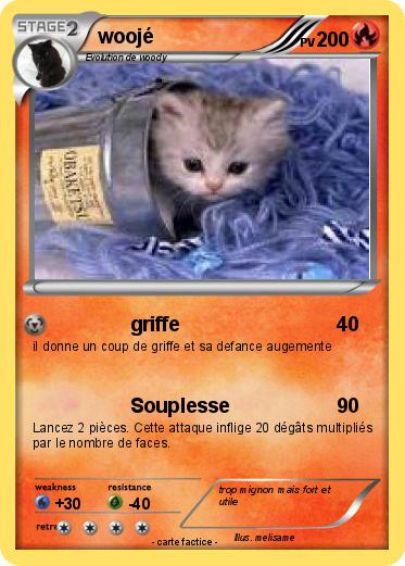 Pokemon woojé