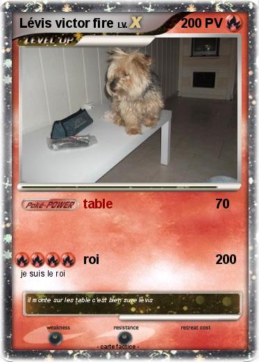 Pokemon Lévis victor fire