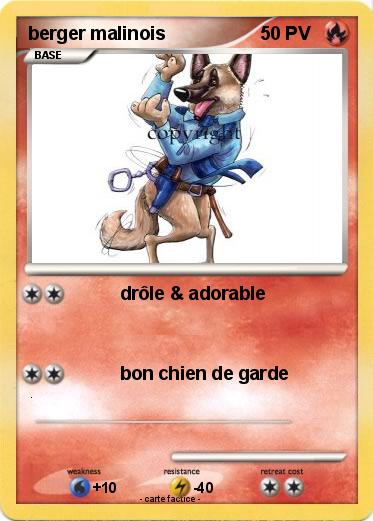 Pokemon berger malinois