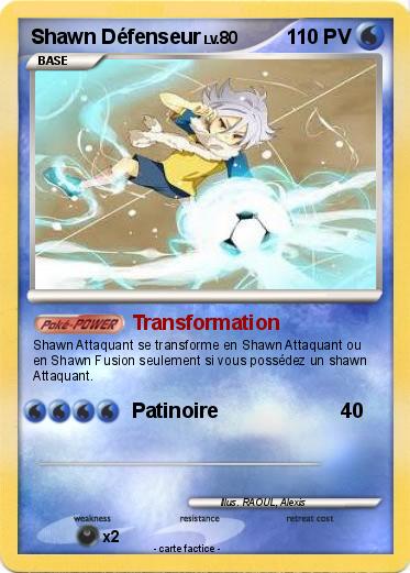 Pokemon Shawn Défenseur