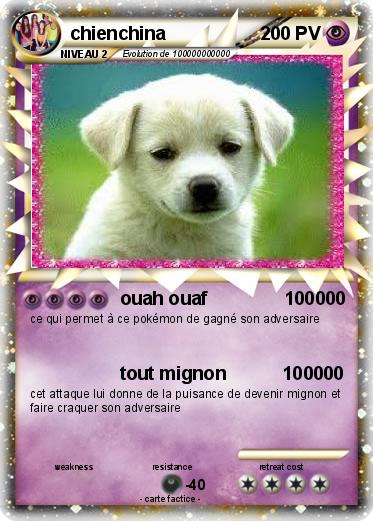Pokemon chienchina