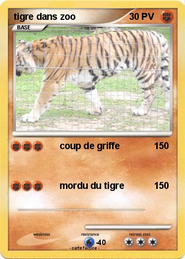 Pokemon tigre dans zoo