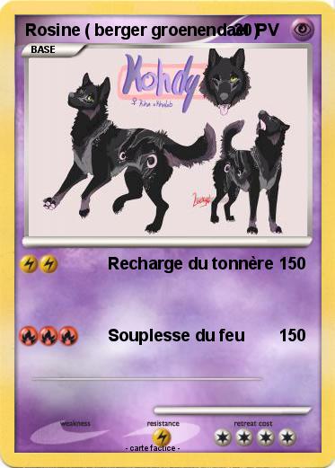 Pokemon Rosine ( berger groenendael )