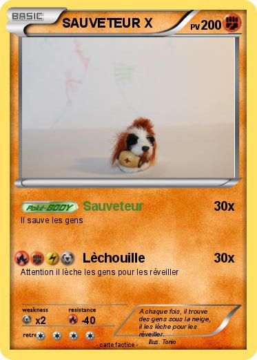 Pokemon SAUVETEUR X