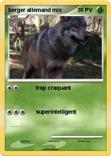 Pokemon berger allemand mix