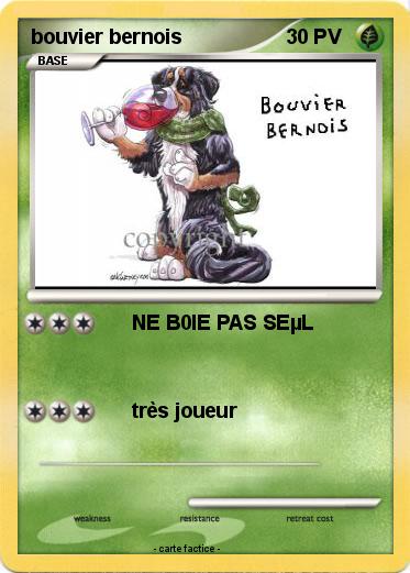 Pokemon bouvier bernois