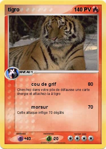 Pokemon tigro