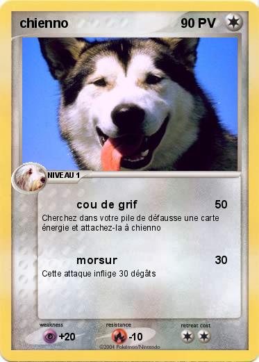 Pokemon chienno