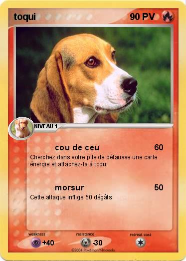 Pokemon toqui