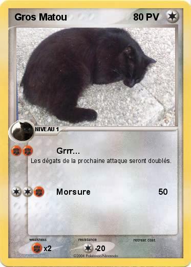 Pokemon Gros Matou