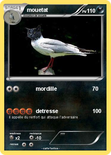 Pokemon mouetat