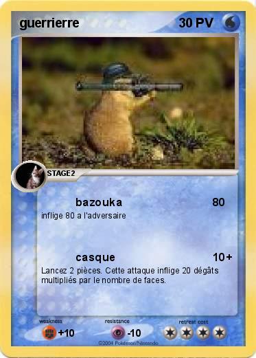 Pokemon guerrierre