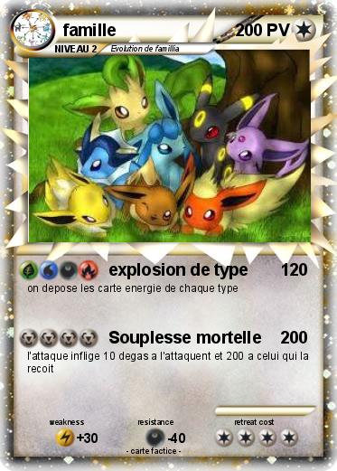 Pokemon famille