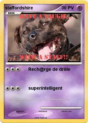 Pokemon staffordshire