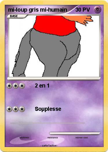 Pokemon mi-loup gris mi-humain