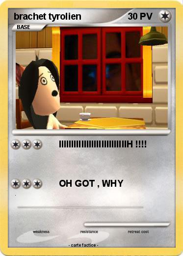 Pokemon brachet tyrolien
