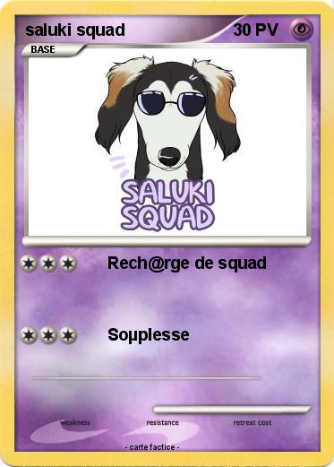 Pokemon saluki squad