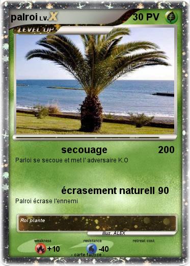 Pokemon palroi