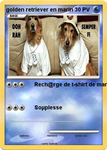 Pokemon golden retriever en marin