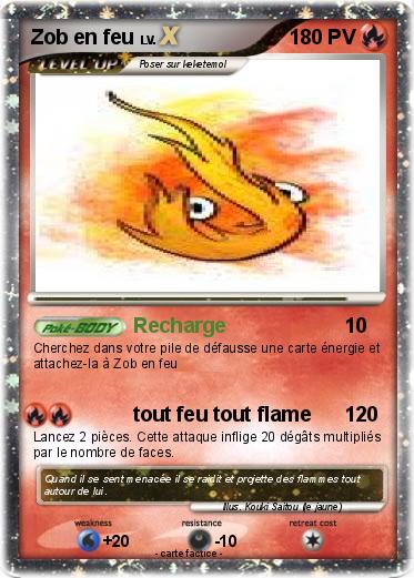 Pokemon Zob en feu
