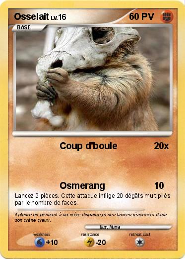 Pokemon Osselait