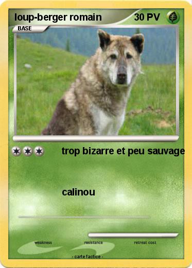 Pokemon loup-berger romain