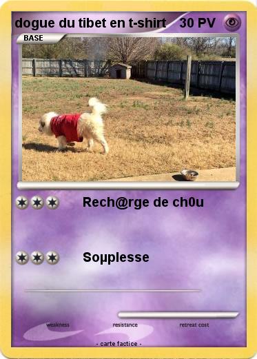 Pokemon dogue du tibet en t-shirt
