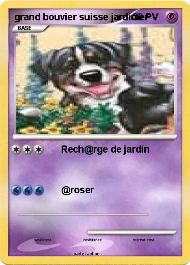 Pokemon grand bouvier suisse jardinier