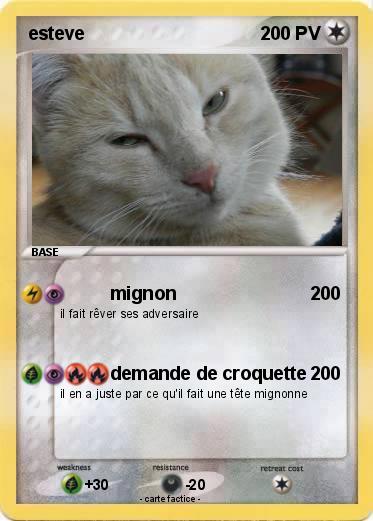Pokemon esteve