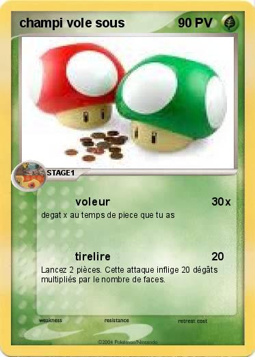 Pokemon champi vole sous