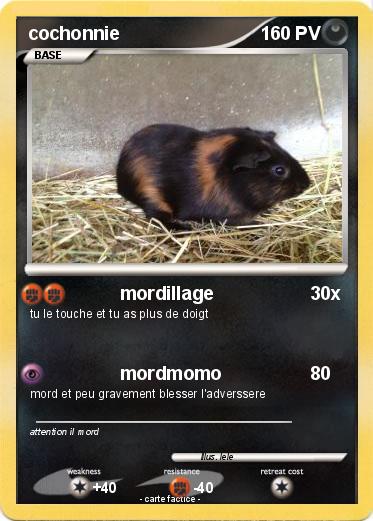 Pokemon cochonnie