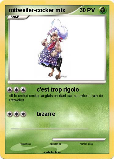 Pokemon rottweiler-cocker mix