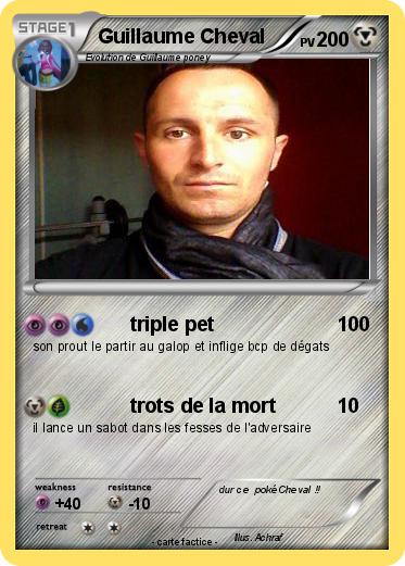 Pokemon Guillaume Cheval