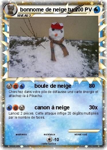 Pokemon bonnome de neige tuer